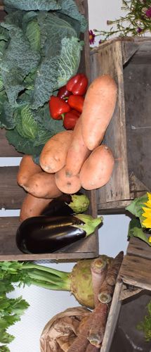 Sunde råvarer benyttes til maden på Sædding Efterskole. Kål, gulerødder, kartofler mm. ses på billedet.