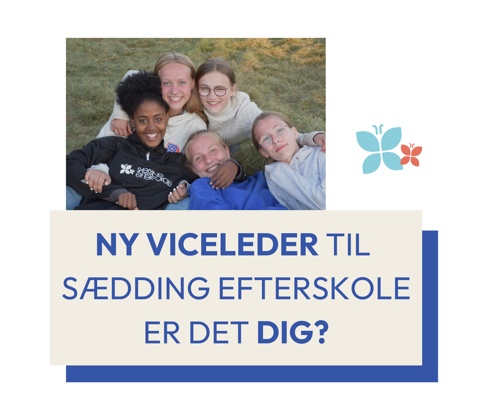 Sædding Efterskole søger ny viceleder