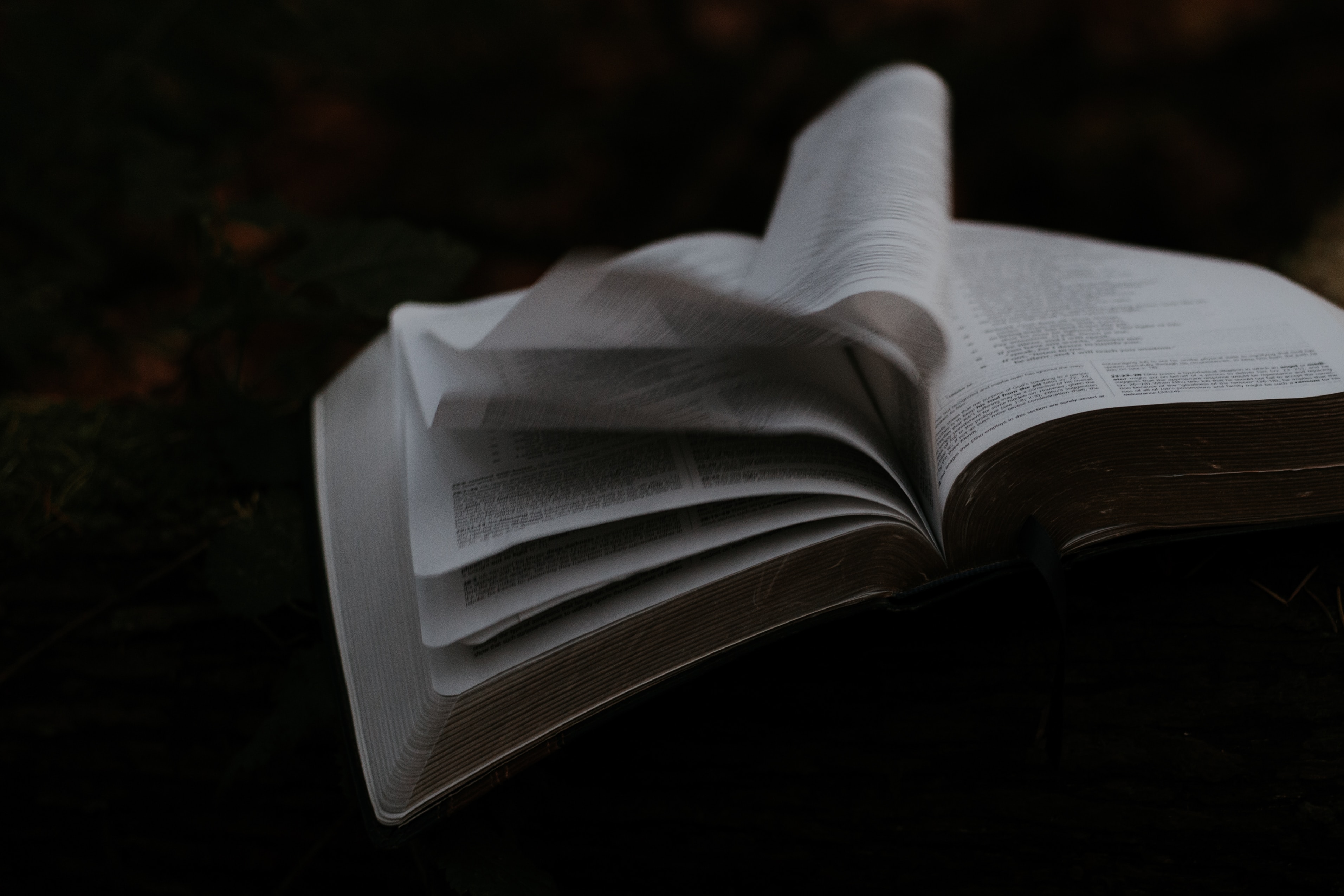 Kristen Efterskole | Bibelen bliver brugt hver dag til vores andagter på Sædding Efterskole