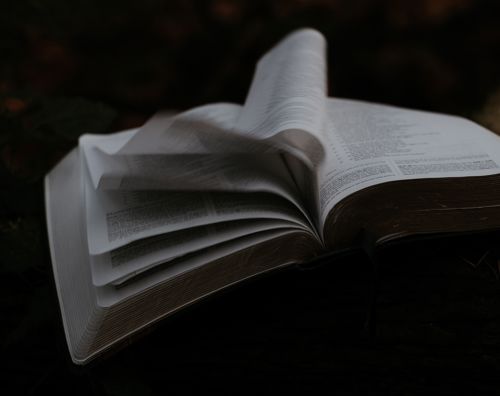 Kristen Efterskole | Bibelen bliver brugt hver dag til vores andagter på Sædding Efterskole